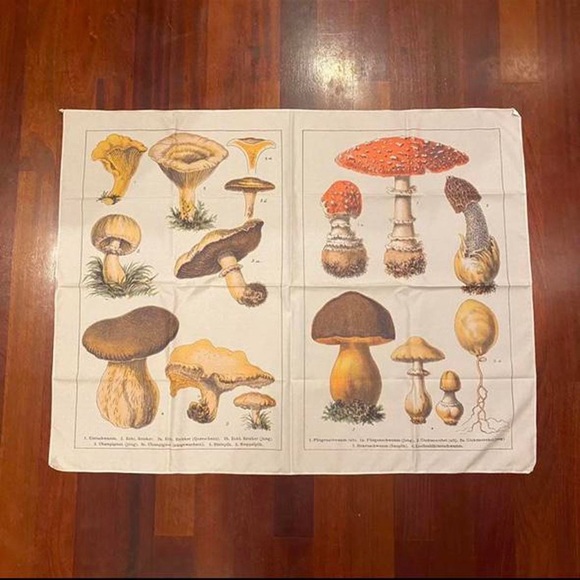 Mushroom tapestry - Picture 1 of 3